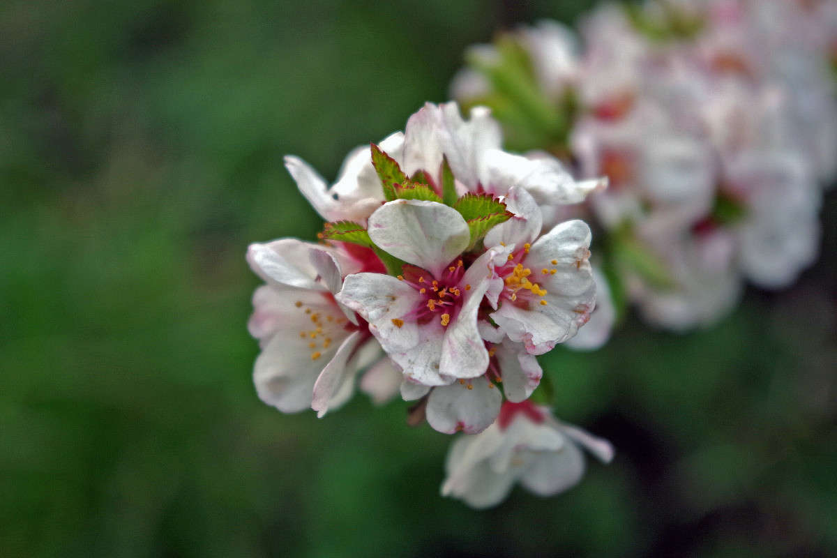 ��������.. ����� ���� ������ �� PhotoGeek.ru #������ ��� �������