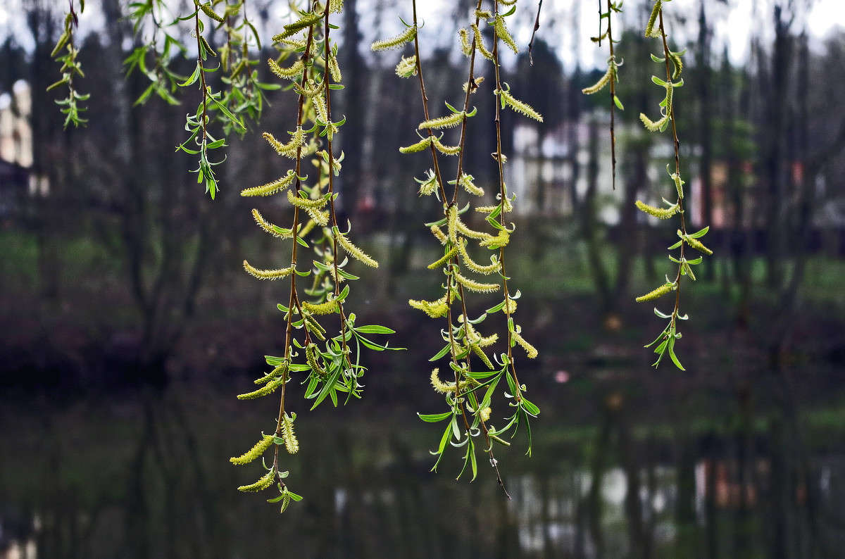 ������� ����� ���� ������ �� PhotoGeek.ru #������ ��� �������