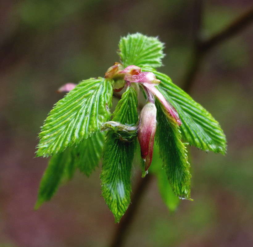 ���� ����� ���� ������ �� PhotoGeek.ru #�����