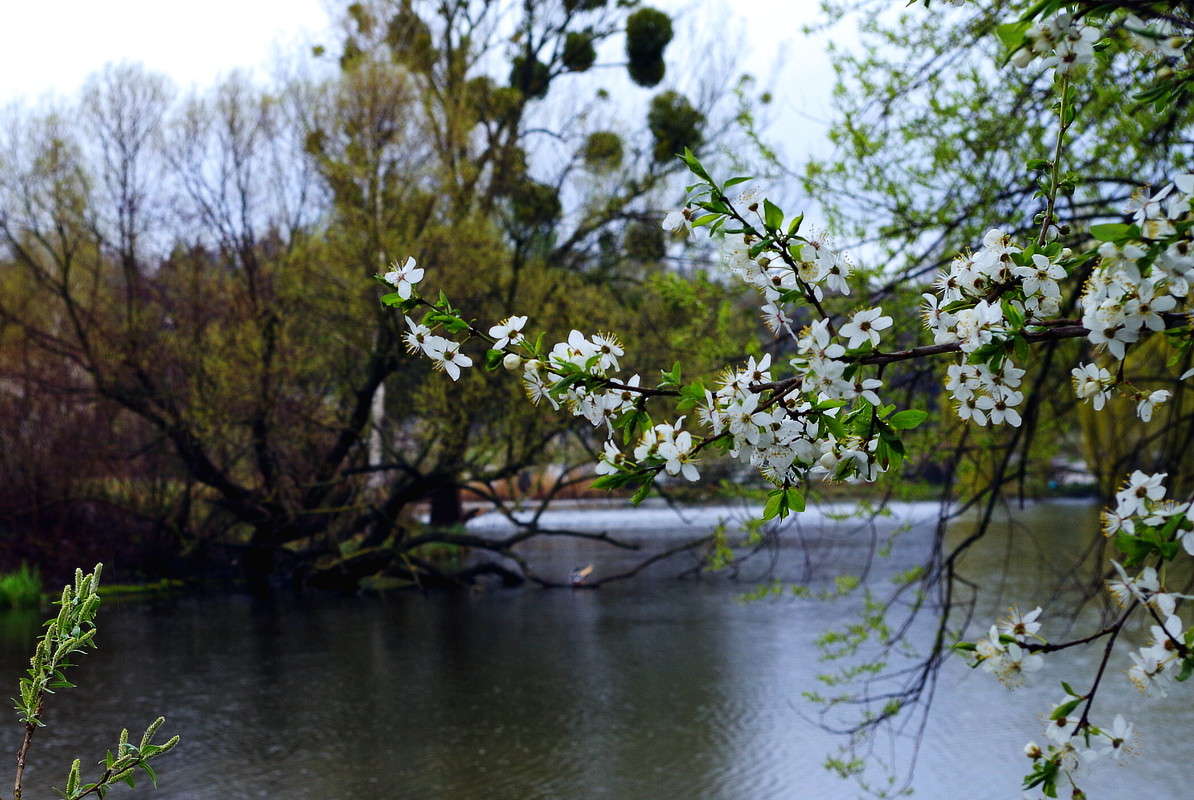 ����� ����� ���� ������ �� PhotoGeek.ru #������ ��� �������