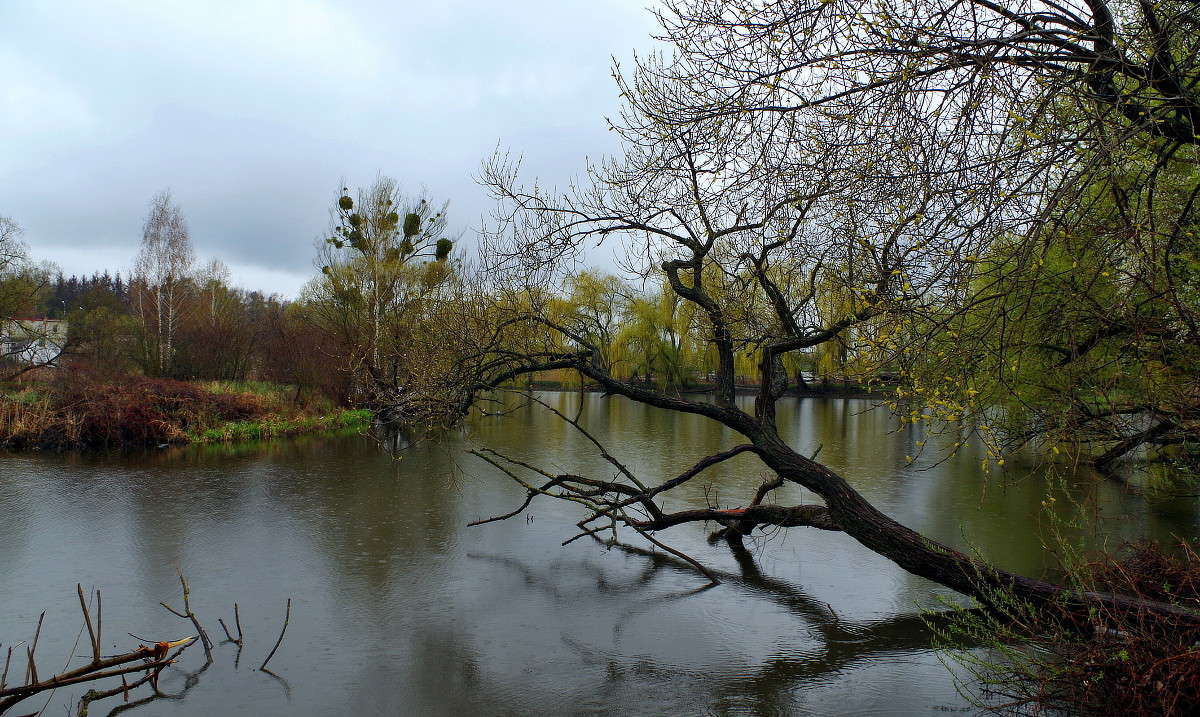 ��������... ����� ���� ������ �� PhotoGeek.ru #�������� ����������