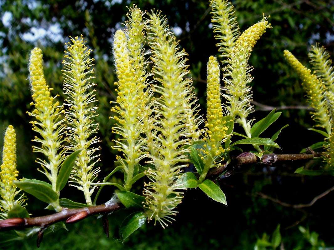 ����� ������ ����� ���� ������ �� PhotoGeek.ru #������ ��� �������