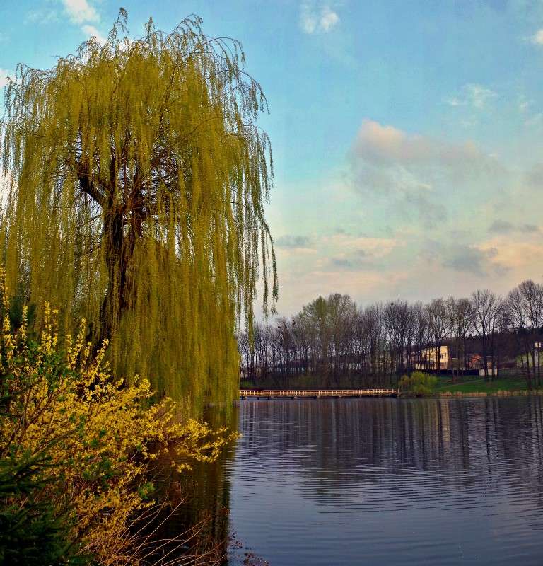 ������� ������ ����� ���� ������ �� PhotoGeek.ru #������ ��� �������