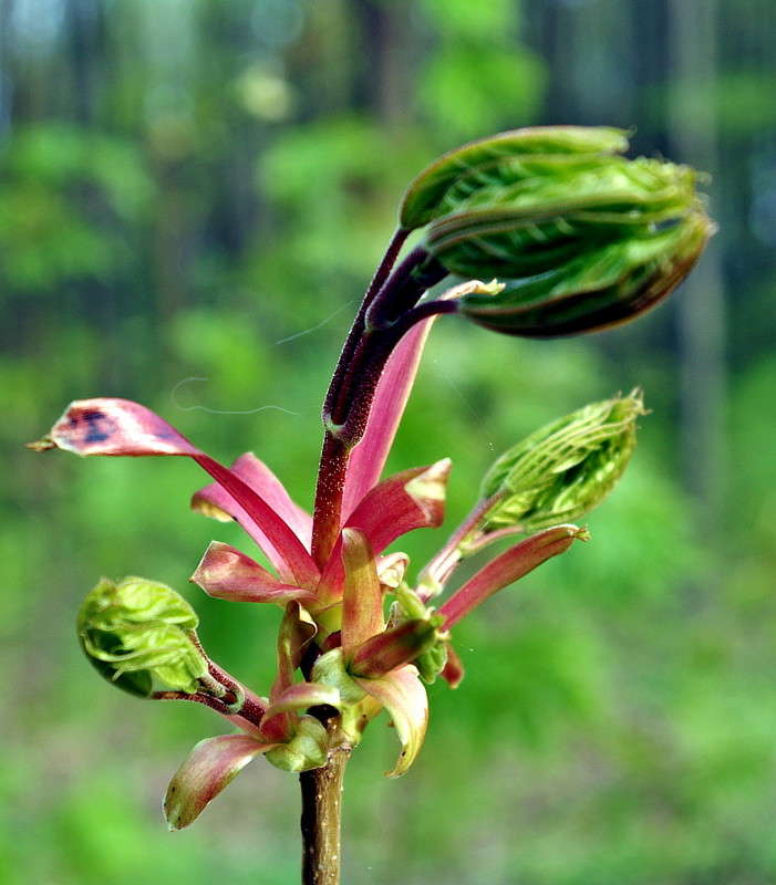 ����� ����� ���� ������ �� PhotoGeek.ru #�����