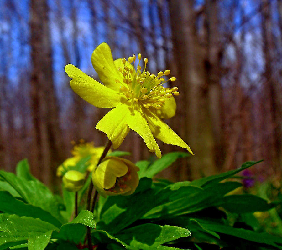 ... ����� ���� ������ �� PhotoGeek.ru #������ ��� �������