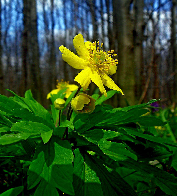 ... ����� ���� ������ �� PhotoGeek.ru #������ ��� �������