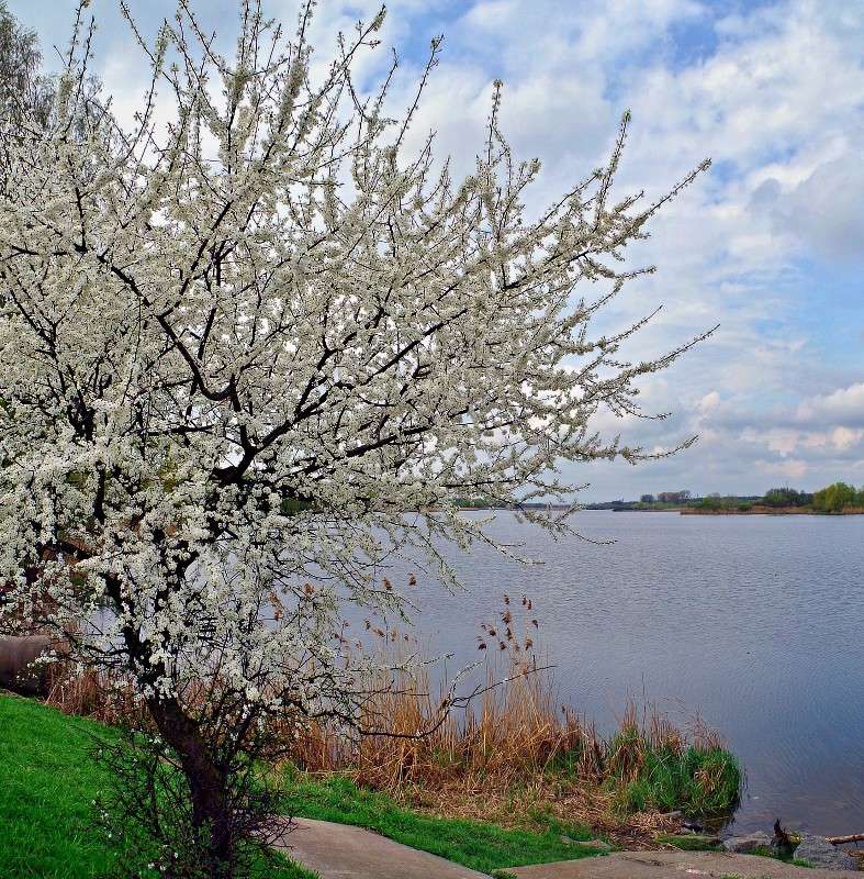 ������� ����� ����� ���� ������ �� PhotoGeek.ru #������ ��� �������