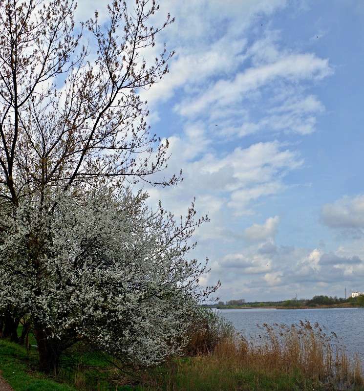 ����� ����� ���� ������ �� PhotoGeek.ru #�������� ����������