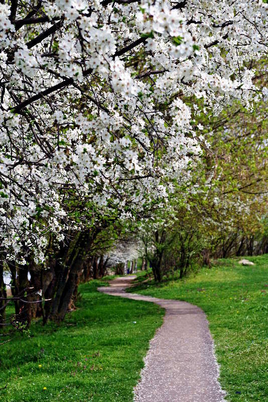 �������� ������� ����� ���� ������ �� PhotoGeek.ru #������ ��� �������