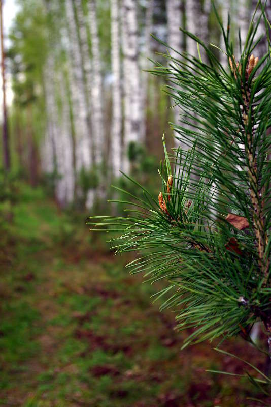 ���� ����� ���� ������ �� PhotoGeek.ru #������ ��� �������