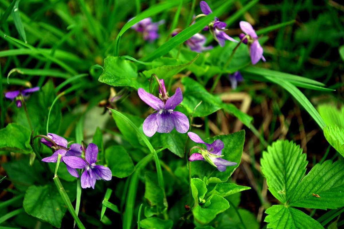 ������ ����� ���� ������ �� PhotoGeek.ru #�������� ����������