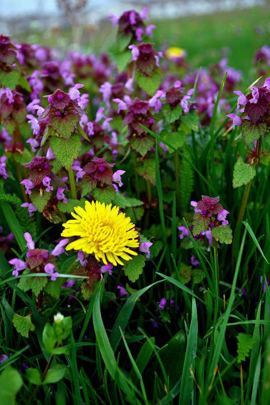 ����� ����� ���� ������ �� PhotoGeek.ru #�������� ����������