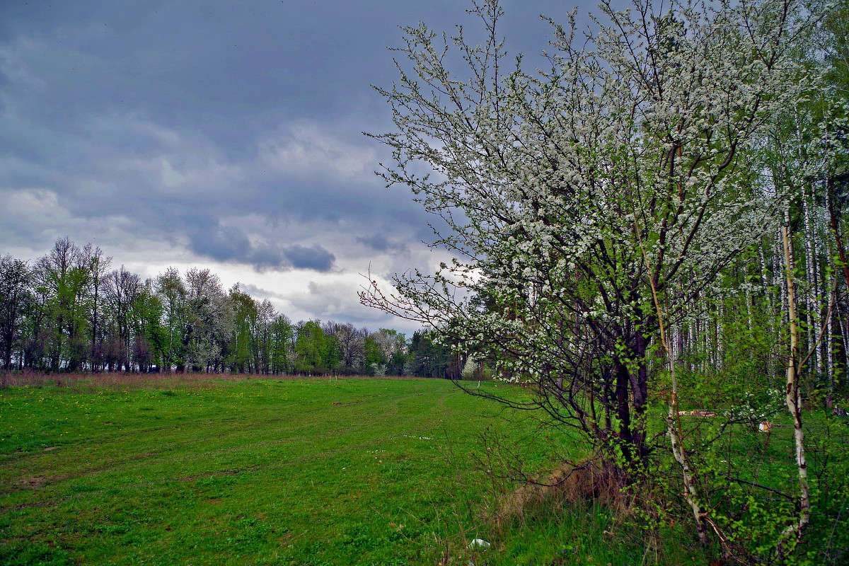 ������ ����� ���� ������ �� PhotoGeek.ru #������ ��� �������