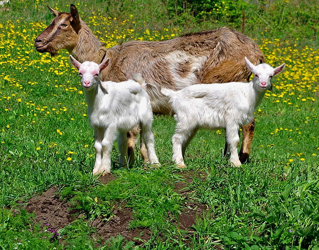 �������� ����� ���� ������ �� PhotoGeek.ru #�������� ���