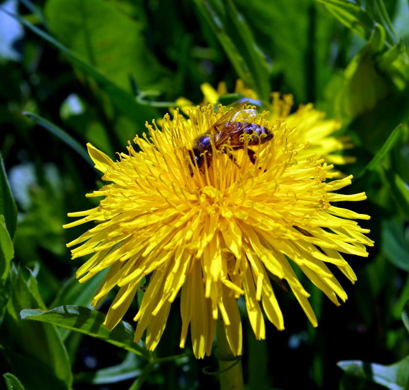 ����� ����� ���� ������ �� PhotoGeek.ru #�����