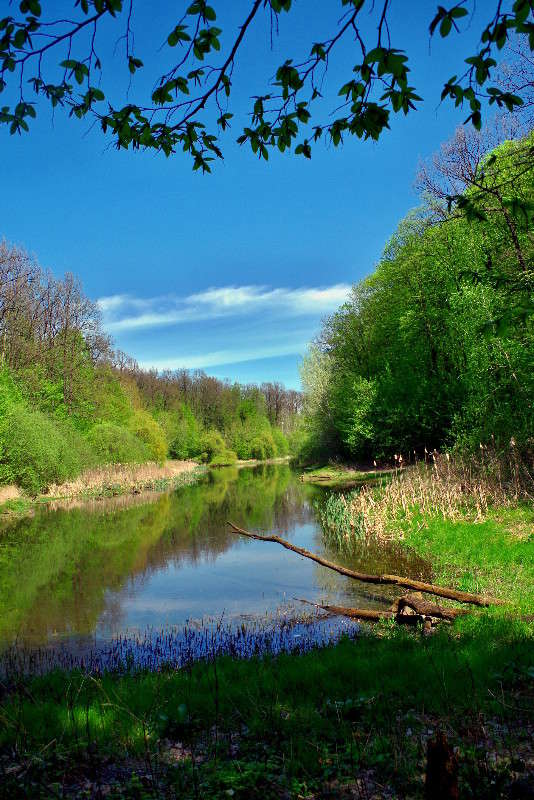 ������ ����� ���� ������ �� PhotoGeek.ru #������ ��� �������