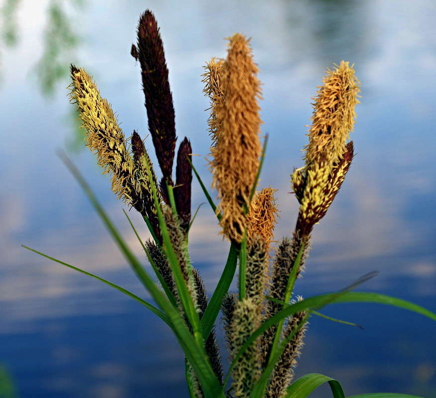 ... ����� ���� ������ �� PhotoGeek.ru #�����