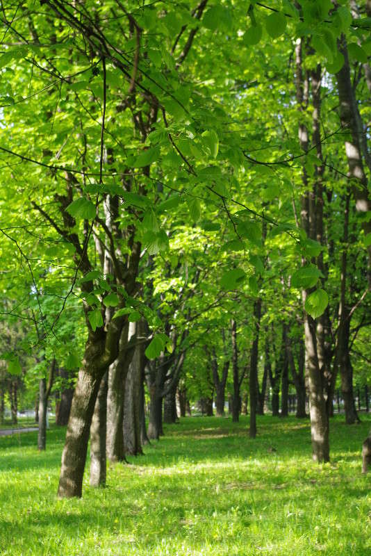 ... ����� ���� ������ �� PhotoGeek.ru #������ ��� �������