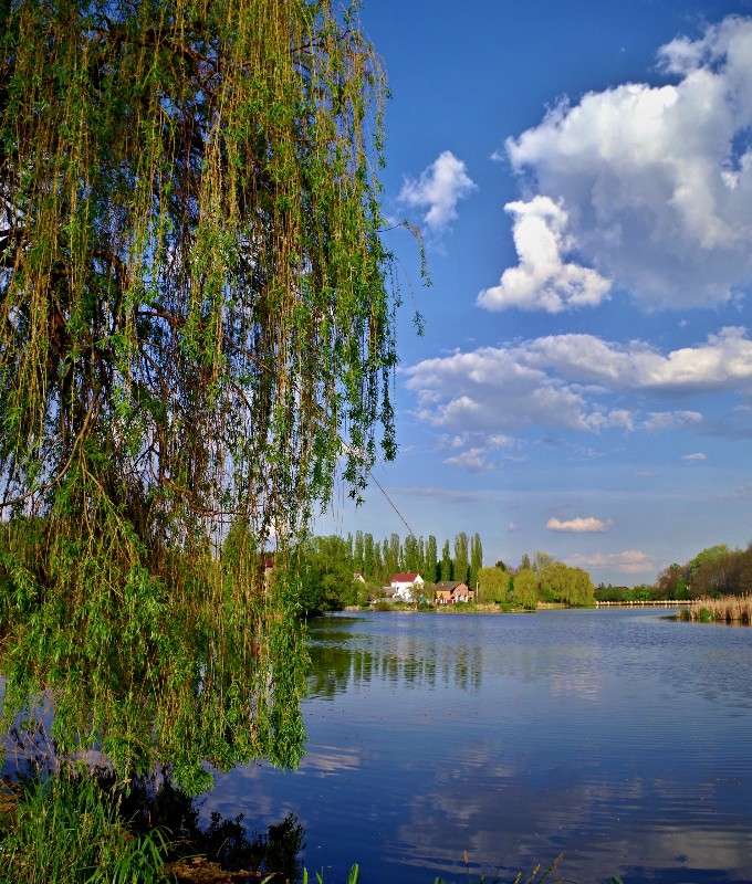 ...... ����� ���� ������ �� PhotoGeek.ru #������ ��� �������