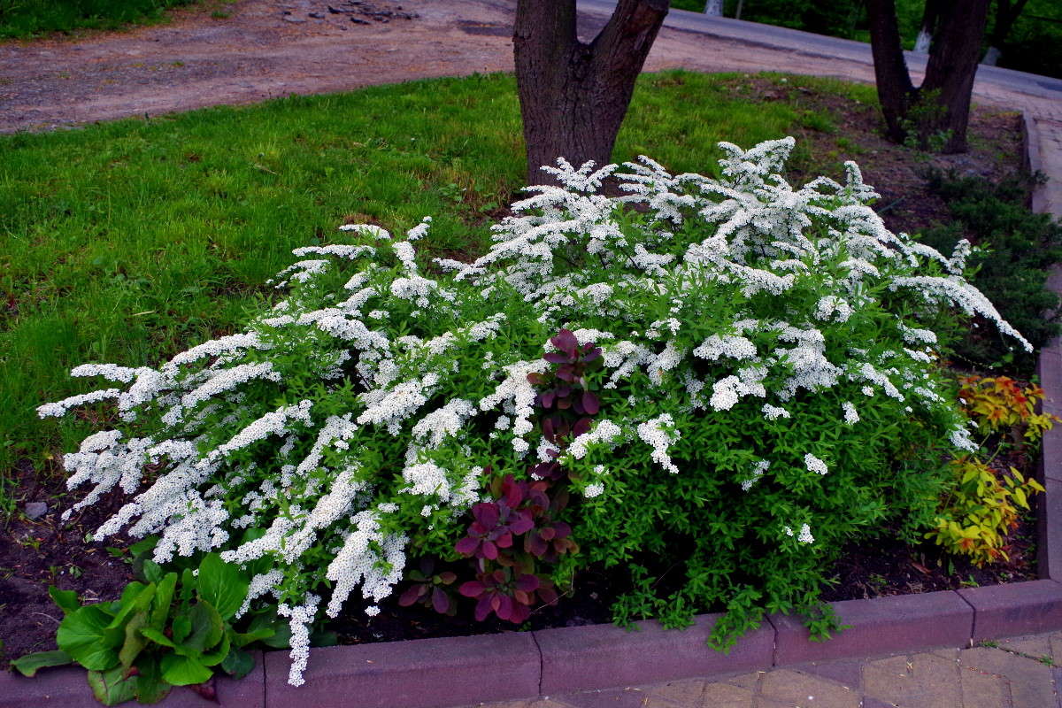 ����� ����� ���� ������ �� PhotoGeek.ru #�������� ����������