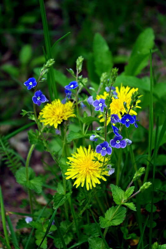 ���� � ������� ����� ���� ������ �� PhotoGeek.ru #�������� ����������