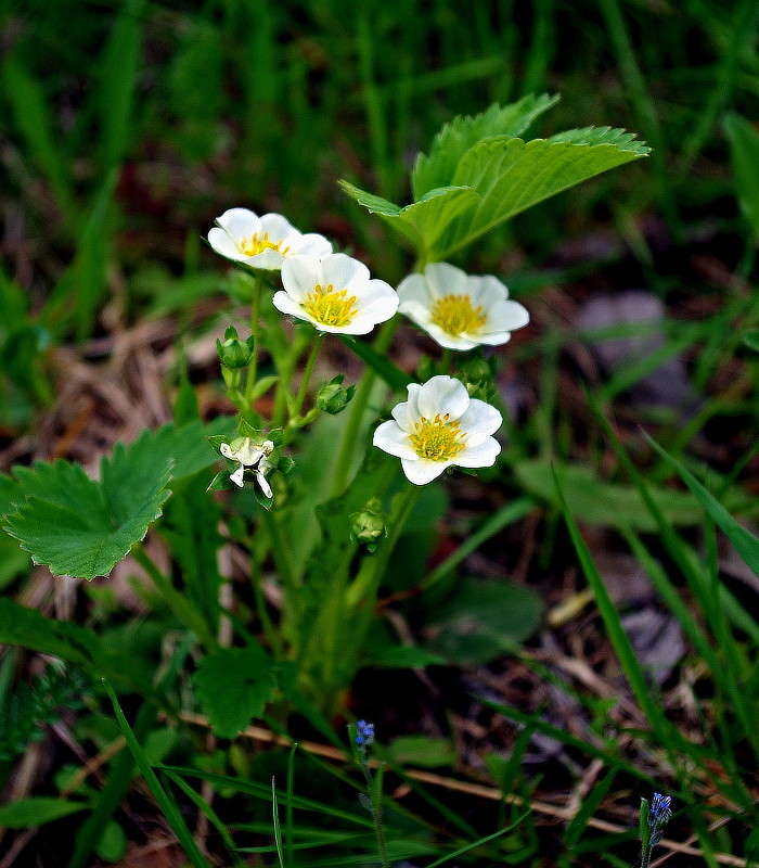 �������� ������� ����� ���� ������ �� PhotoGeek.ru #������ ��� �������