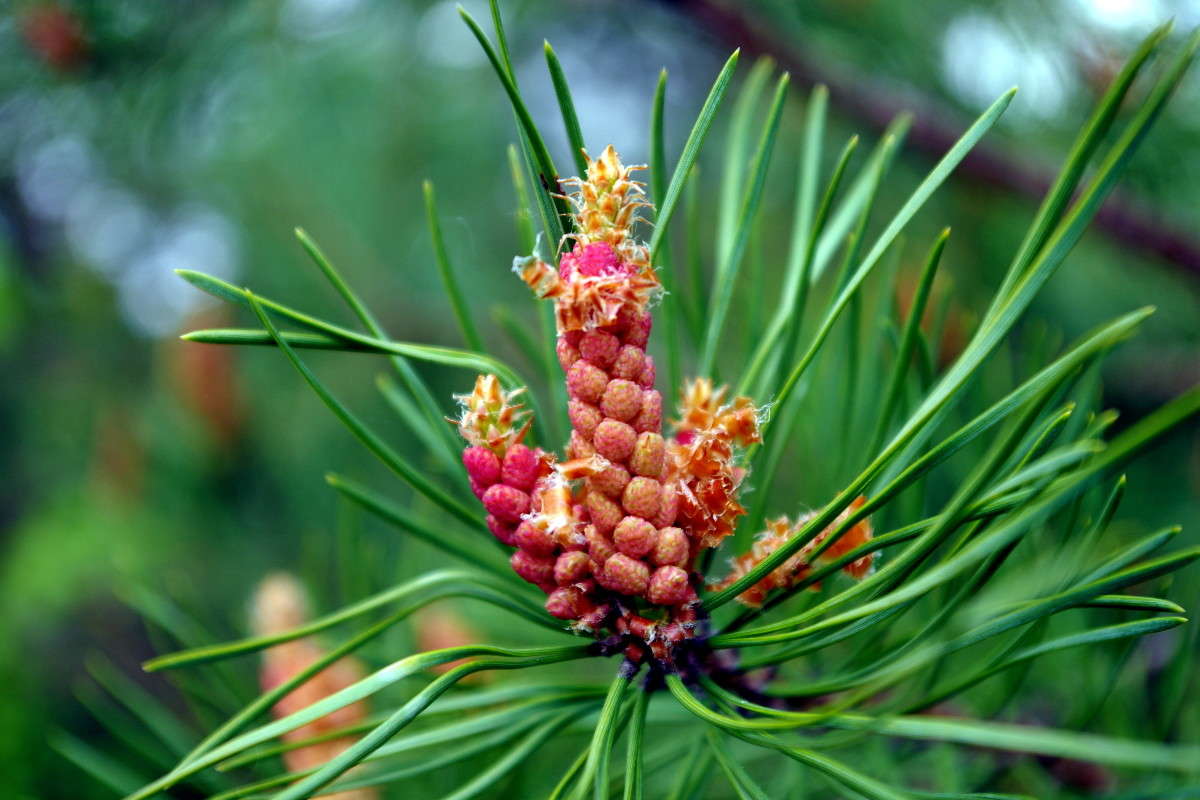 ... ����� ���� ������ �� PhotoGeek.ru #�����