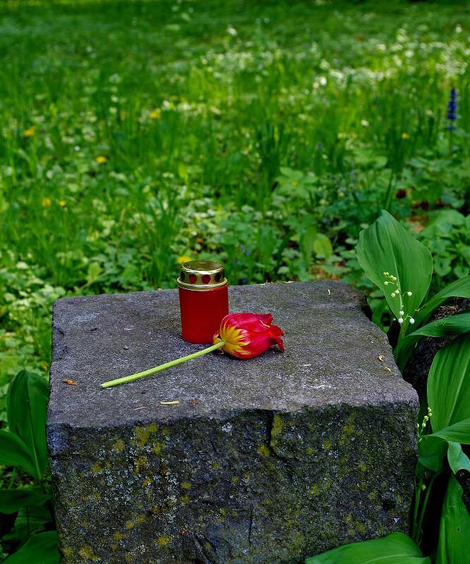 ������ ����� ���� ������ �� PhotoGeek.ru #�������� ����������