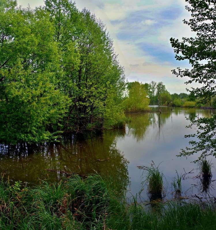 ���� ����� ���� ������ �� PhotoGeek.ru #������ ��� �������