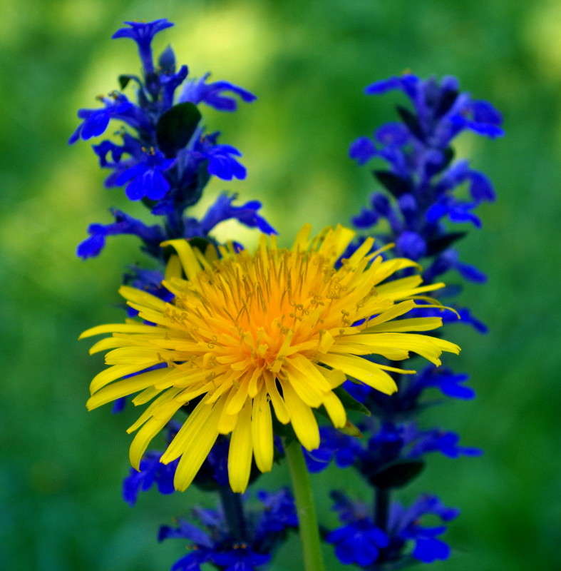 ������ � ������� ����� ���� ������ �� PhotoGeek.ru #�����