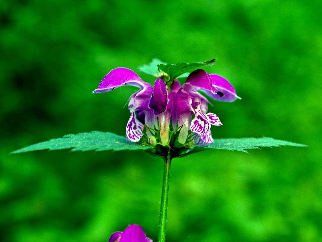 �������� ����� ���� ������ �� PhotoGeek.ru #�����