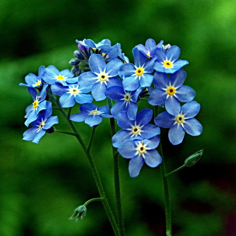 �������� ����� ���� ������ �� PhotoGeek.ru #�����