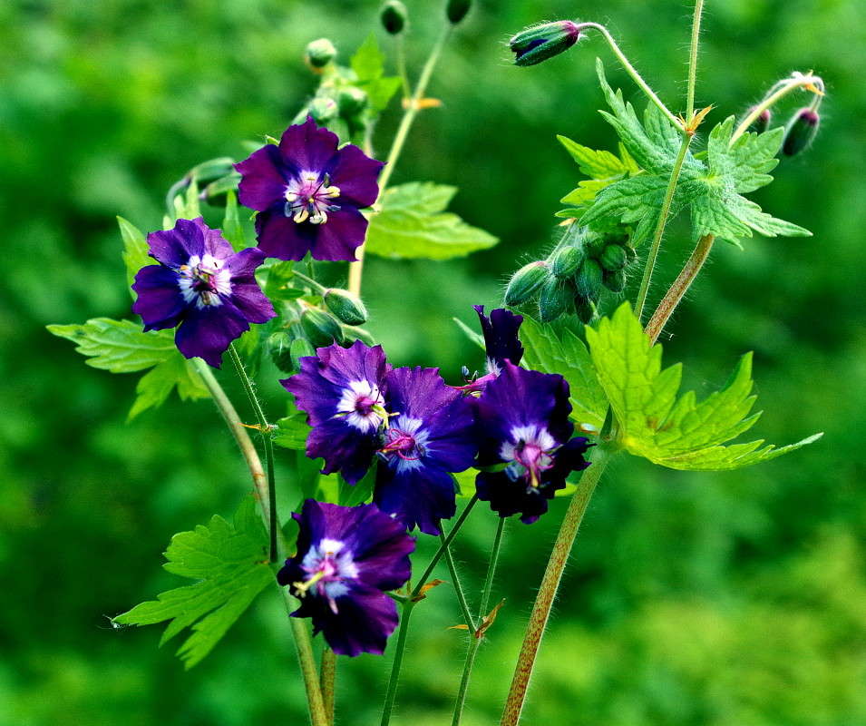 ����� ����� ���� ������ �� PhotoGeek.ru #�����