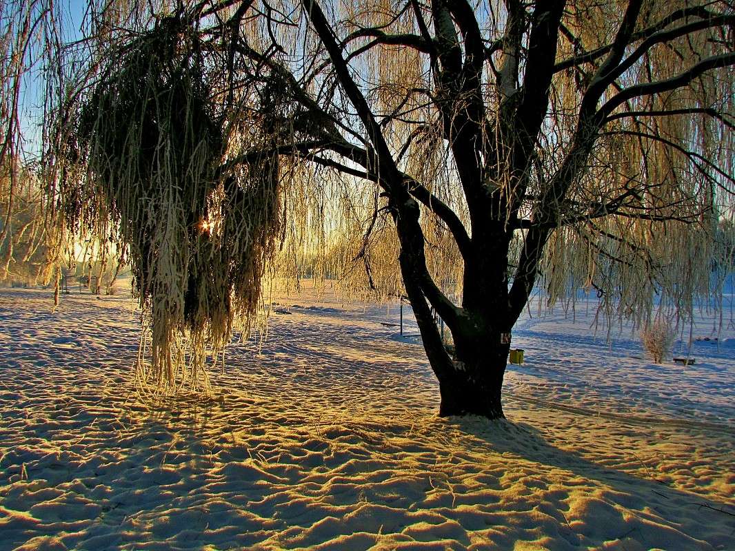 ������ ������ ����� ���� ������ �� PhotoGeek.ru #������ ��� �������