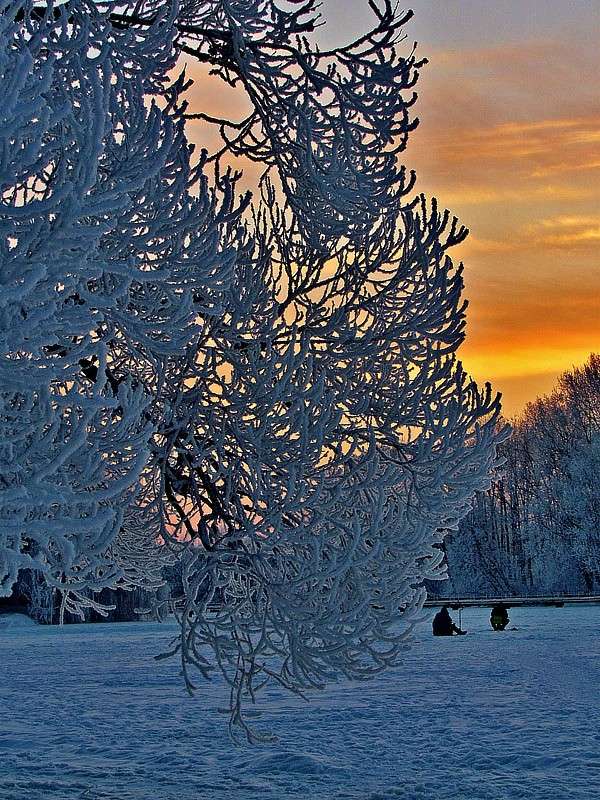 ������ ���� ����� ���� ������ �� PhotoGeek.ru #������ ��� �������