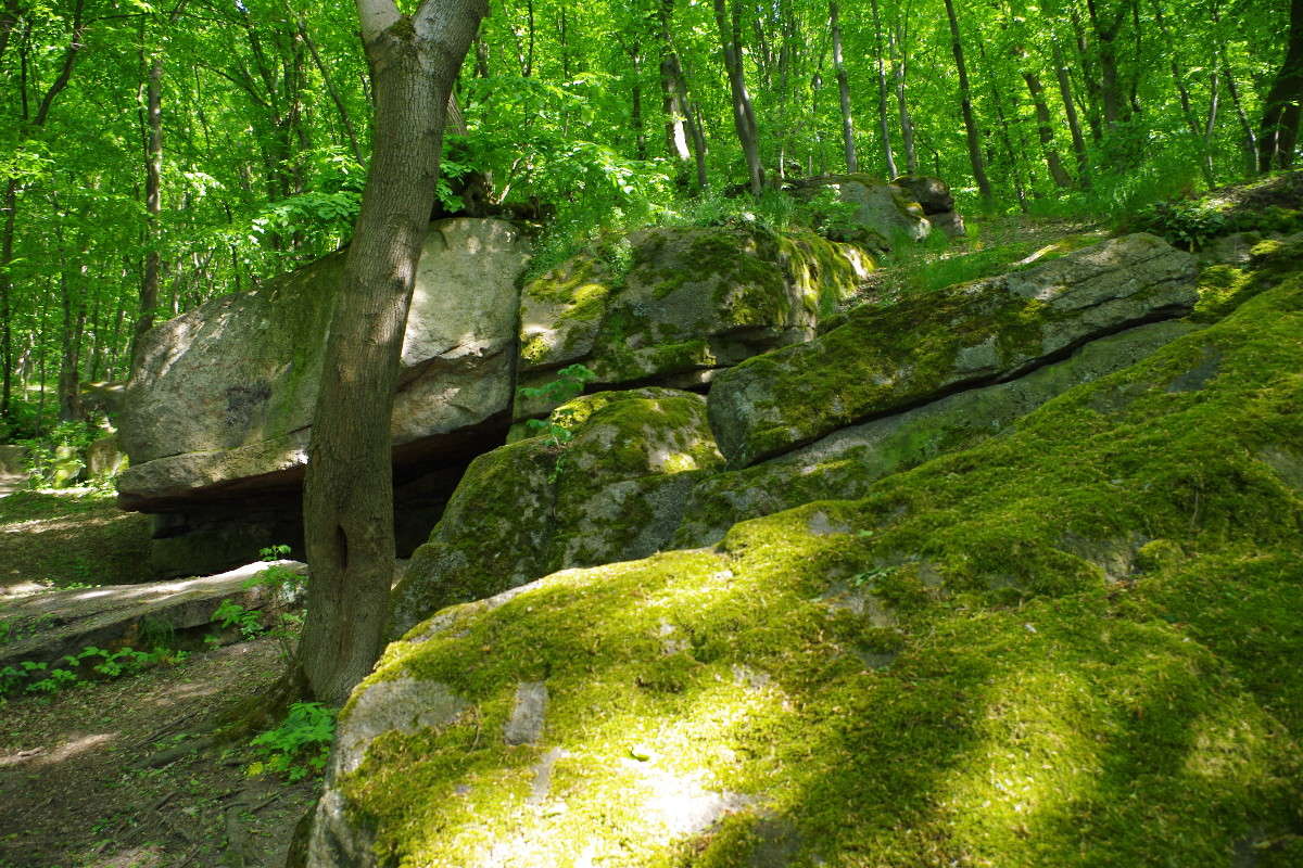 ... ����� ���� ������ �� PhotoGeek.ru #������ ��� �������