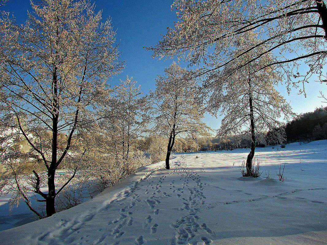 ���� ����� ���� ������ �� PhotoGeek.ru #������ ��� �������