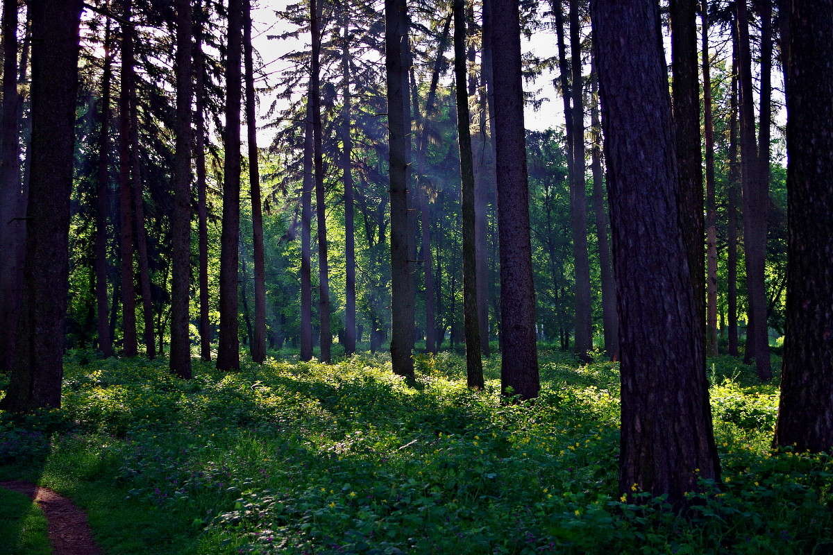 ���� ����� ���� ������ �� PhotoGeek.ru #������ ��� �������