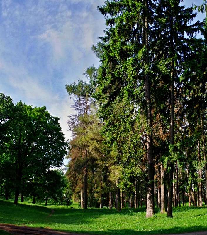 ����� ����� ���� ������ �� PhotoGeek.ru #������ ��� �������