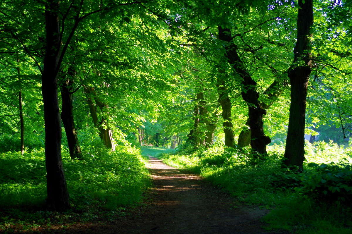 ������� ������� ����� ���� ������ �� PhotoGeek.ru #������ ��� �������