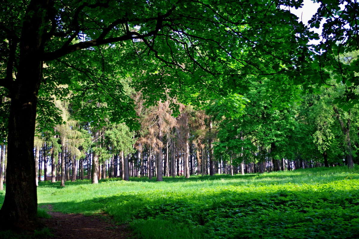 ... ����� ���� ������ �� PhotoGeek.ru #������ ��� �������