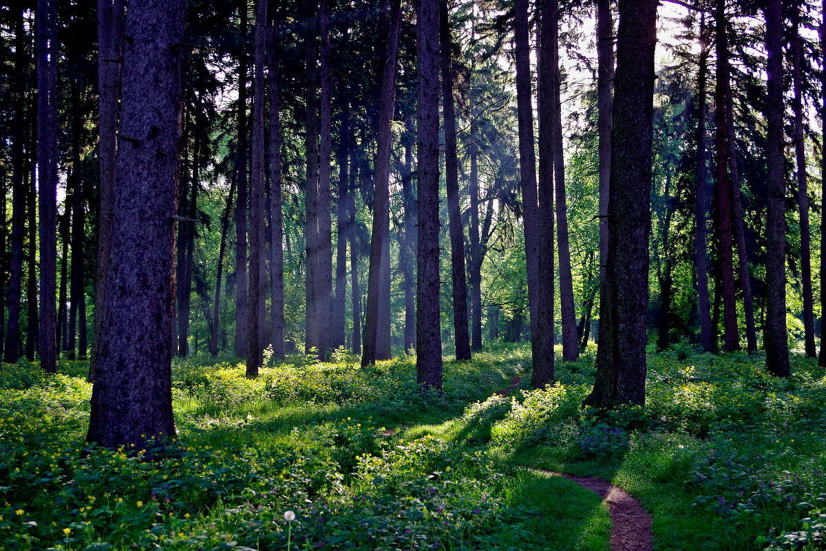 ���� � ���� ����� ���� ������ �� PhotoGeek.ru #������ ��� �������