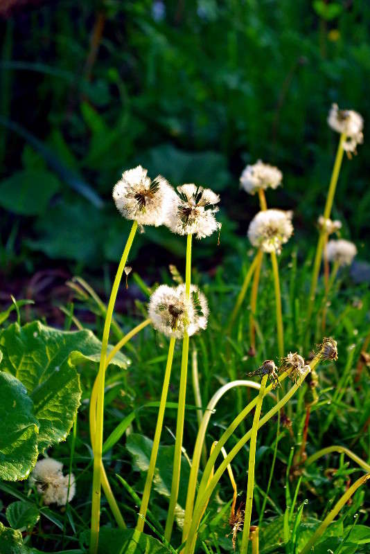 ���������� ����� ���� ������ �� PhotoGeek.ru #�������� ����������