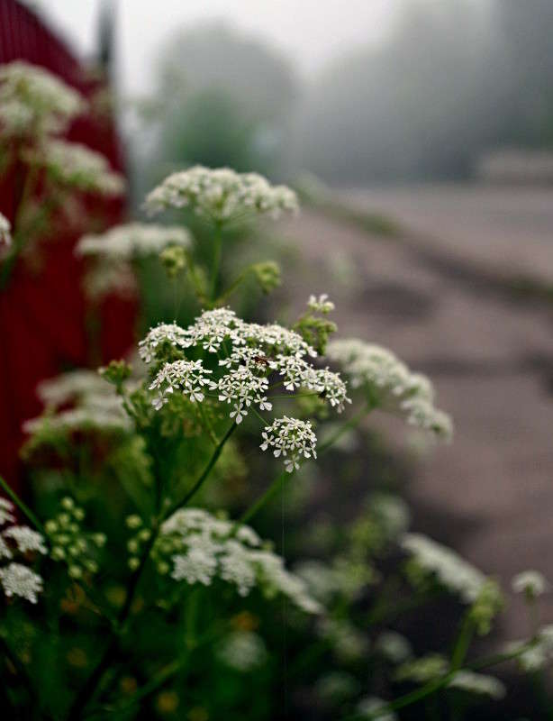 ... ����� ���� ������ �� PhotoGeek.ru #�������� ����������