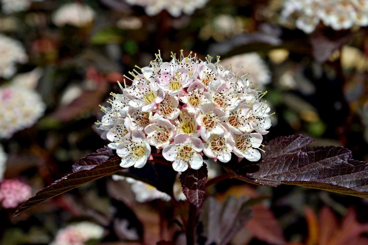 ... ����� ���� ������ �� PhotoGeek.ru #�������� ����������