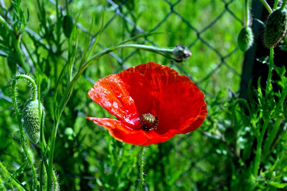 ... ����� ���� ������ �� PhotoGeek.ru #�������� ����������