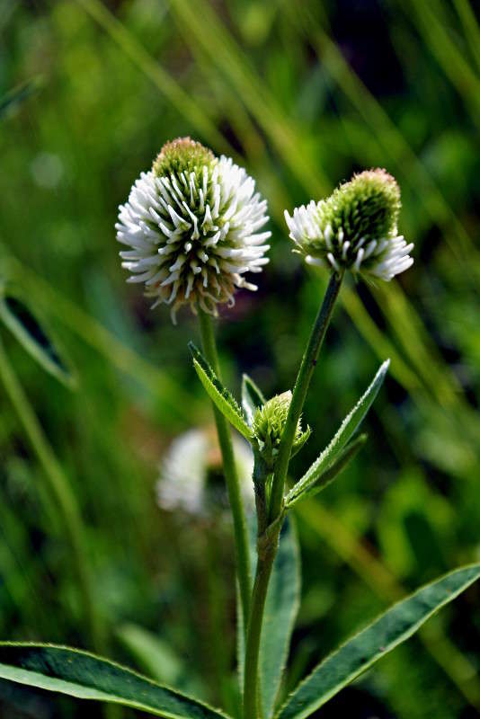 ... ����� ���� ������ �� PhotoGeek.ru #�������� ����������