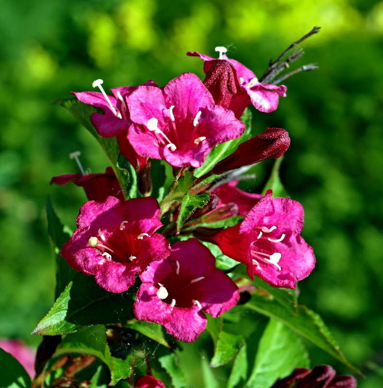 ... ����� ���� ������ �� PhotoGeek.ru #������ ��� �������