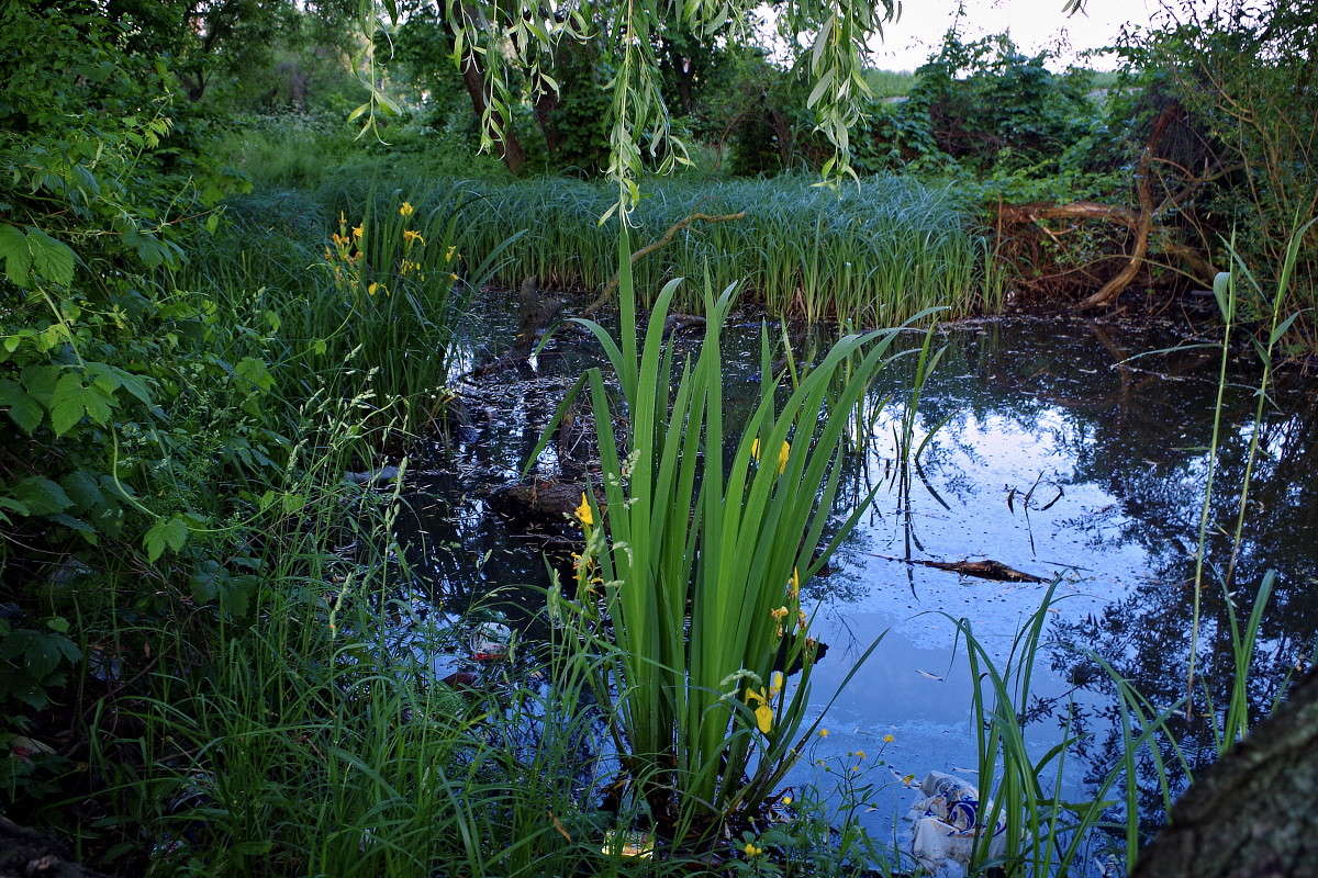 �� ������ ����� ���� ������ �� PhotoGeek.ru #������ ��� �������