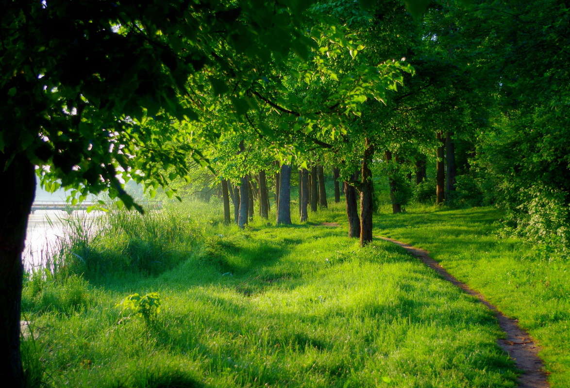 ������ ������.. ����� ���� ������ �� PhotoGeek.ru #�������� ����������